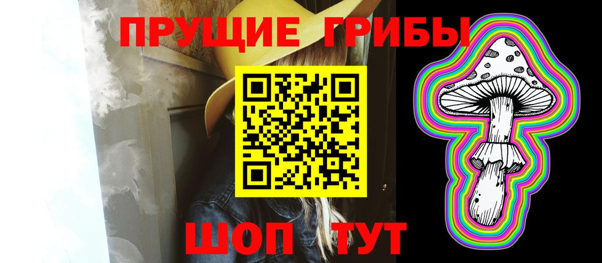 где найти   Вход с VPN  Протвино  Псилоцибиновые грибы ЛСД 